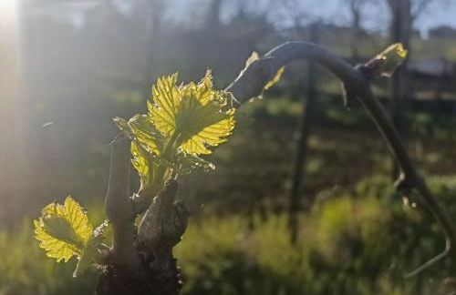 CASA ORNETO - Foto 67