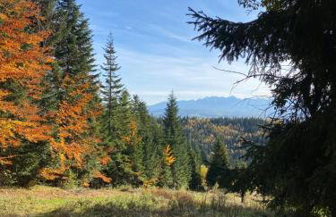 Apartament w górach Gorce - Foto 40