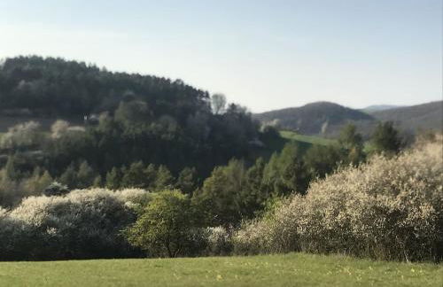 Ferienhaus Hoher Meißner - Foto 19