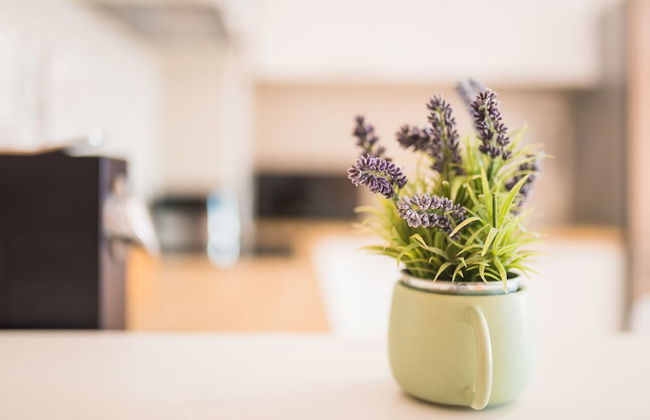 ZEN Residential Apartments - Foto 10