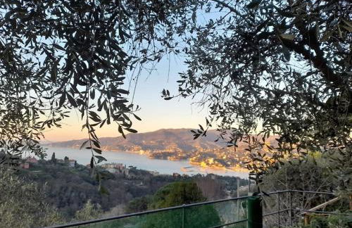 MONOLOCALE, tranquillità e panorama esclusivo - Foto 17