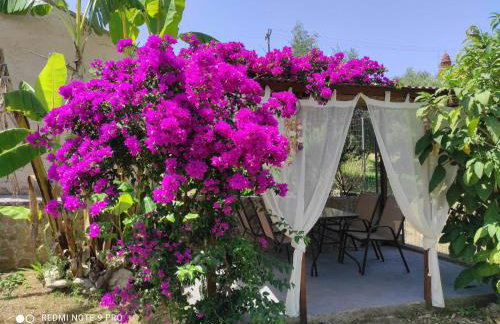 Aglaia House - Foto 22