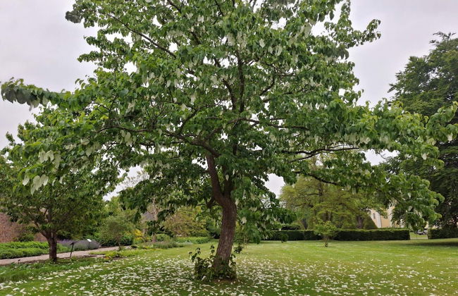 Charming Retreat on Eno - By Traum Ferienwohnungen - Foto 22