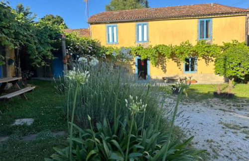 Casa do Bidueiro - Foto 61