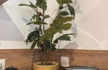 Dijon Hypercentre - Loge de la chouette - Foto 12