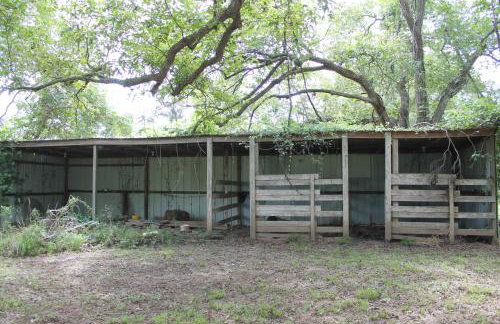 Countryside Bliss - Entire Home on 2 Acres - Foto 23