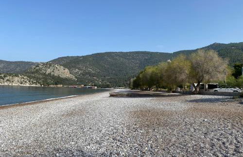 Georgia Psatha - Foto 30