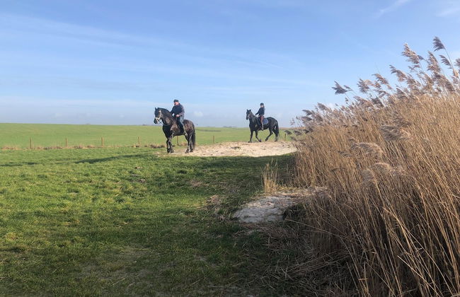 Holiday Home in Warns With Private Jetty - Photo 26
