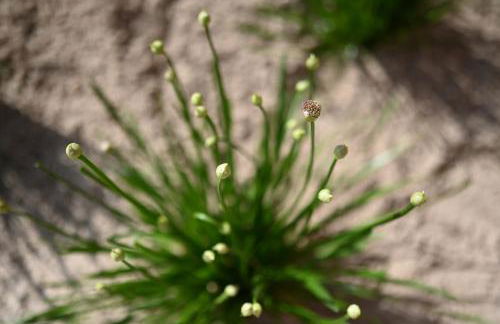 Bi de Bark - Foto 56