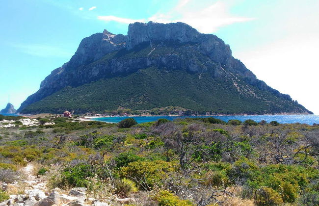 Paseo en lancha por Tavolara y Punta Coda Cavallo - Foto 3