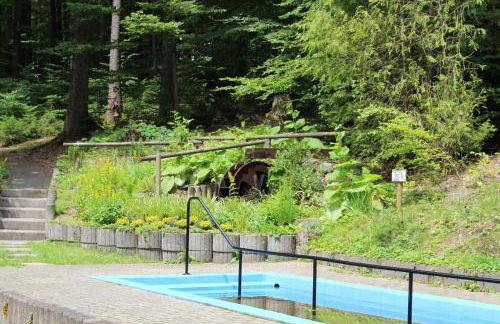 Ferienhaus am Ruhberg - Photo 37