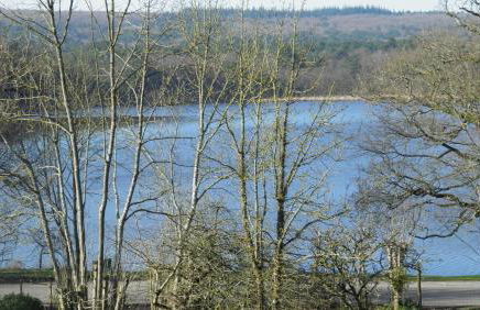 Logis de Ponthus - Foto 36