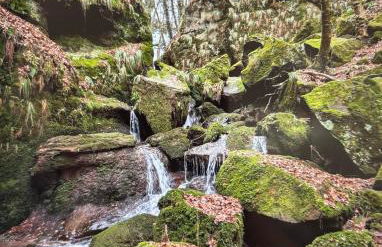 Appartement Zum Leuktal - Foto 20