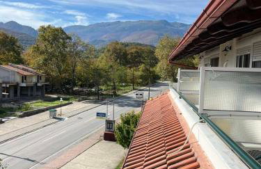 Drosia Hotel - Photo 49