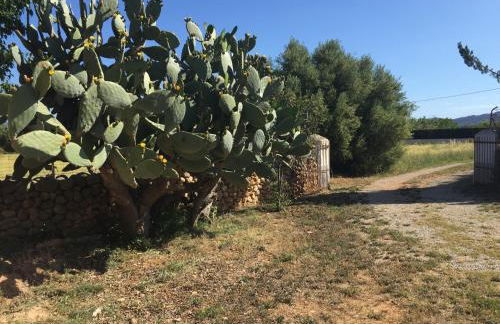 Bonita casa de campo Sa Vinya para relax y piscina privada - Foto 31