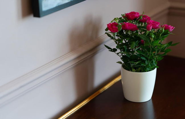 Stylish Beachfront Luxury With Sweeping Sea Views - Foto 15