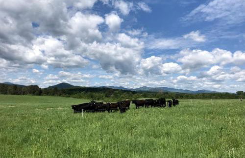 Rustic Bell Tent on Working Farm in New York with Views of the Adirondacks - Foto 9
