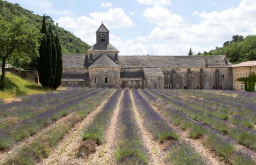 Le gite de lOlivier en Provence - Foto 31