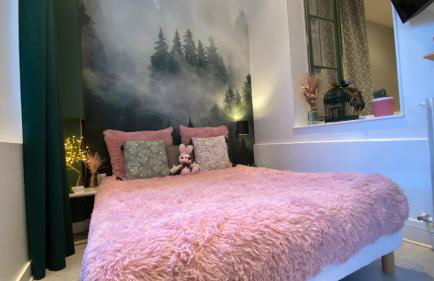 Grand Appartement Haussmanien de Standing avec Jacuzzi Terrasse et Parking en Hyper Centre - Foto 7