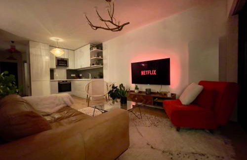 Magnifique 3 pièces de 55m2 au calme avec balcon - Foto 18