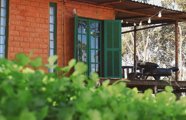 MORRO DA LUZ - Foto 46