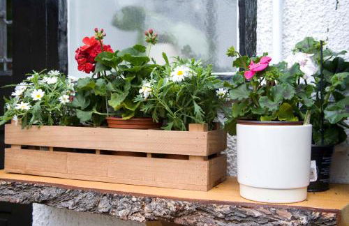 Daisy Cottage - Foto 11