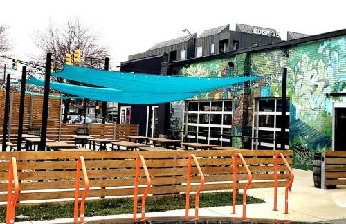 Orange Delite - Photo 29