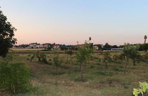 Casa do Alambique - Foto 34