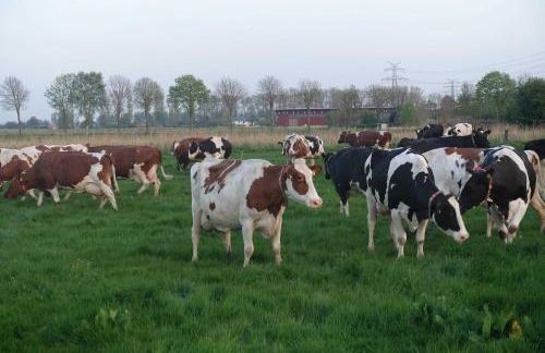 Urlaub auf dem Janssenhof - Foto 9