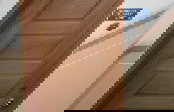 ORIENTE DNA STUDIOS VI - Foto 22