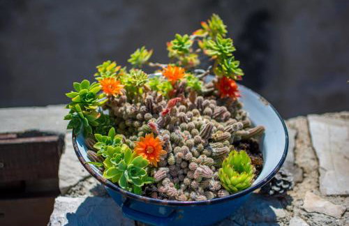 Retro apartment on island Mljet - Foto 46