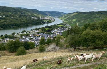 Apartment an der Mosel 1 - Foto 17