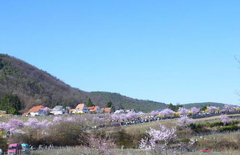 Haus am Fürstenweg - Foto 17
