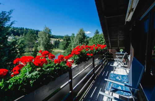 Ferienwohnungen Am Skilift - Foto 28