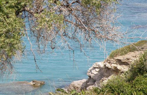 Sea View Holiday House - Photo 35