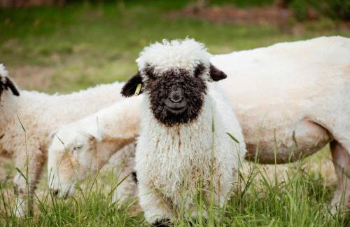 Gardener's Cottage - Ukc3948 - Foto 39