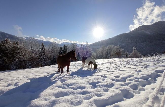 Rossweid hut With a Fantastic View - Foto 18