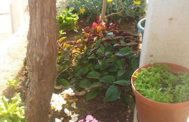 Apartments San Giorgio - Foto 36