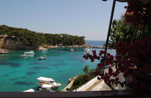 Pension Dimitris - Photo 16