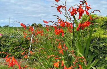 Apartamento en Bañugues cerca de Cabo Peñas. - Foto 12