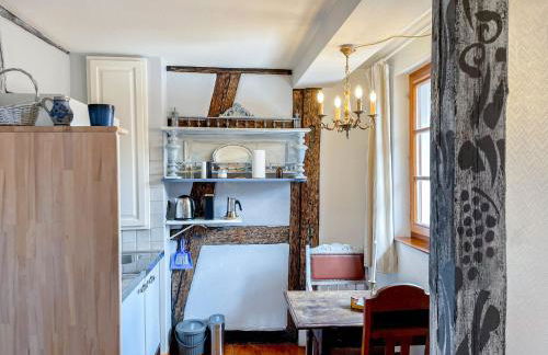 La Maison Bleue - Historic House in the Heart of Riquewihr - Foto 31