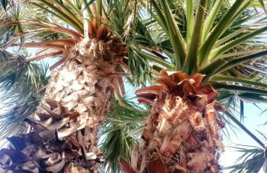 Sea-view hill house - Photo 18