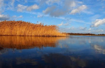 Emilias Hüs, Reethaus in der Bucht von Wismar - Photo 34