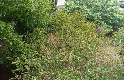 Appartement Montpellier Sud 3 pièces - Photo 10