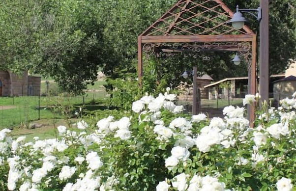 Oranje Gasteplaas Maloti Route - Foto 18