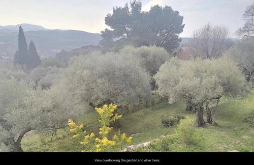 Villa Robinson Belvedere - Foto 37