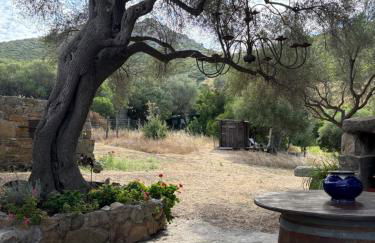 Bergerie de Charme Pedi Lione - Foto 15