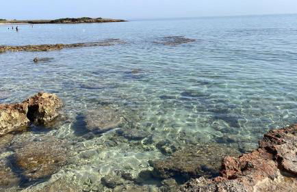 b&b Stella marina torre guaceto - Foto 19