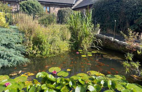 STONE BUILT BARN in a beautiful RURAL setting - Foto 17