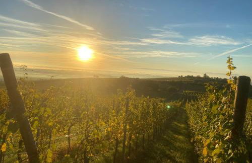 Charmant et chaleureux gîte dans le vignoble - Foto 14